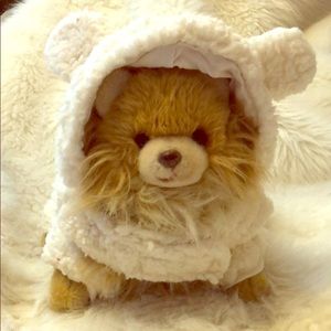 Woolly Lamb Ugg 🐶 Coat